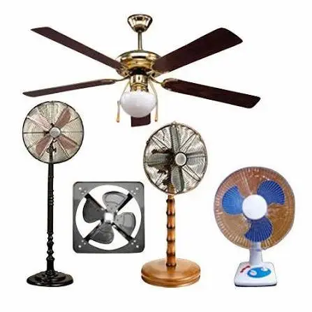 Fans